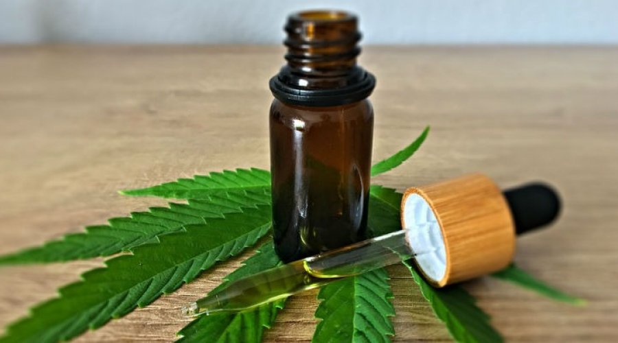 [Cannabis: Anvisa aprova regulamento para uso medicinal]