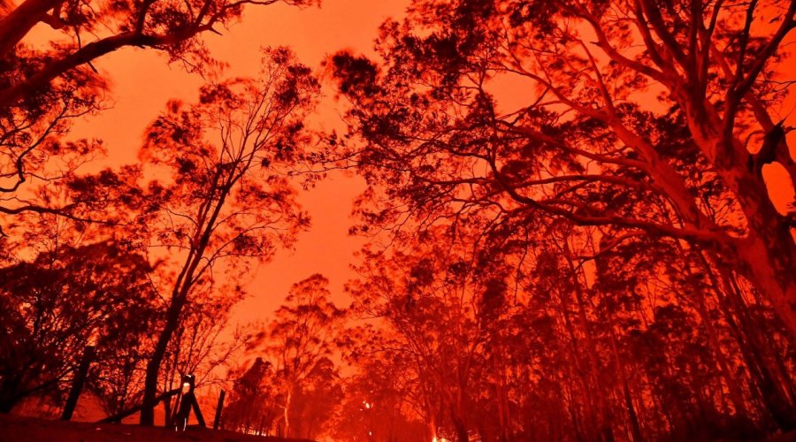 [Entenda por que os incêndios que atingem a Austrália são tão graves]