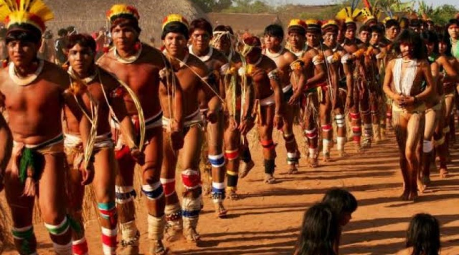 [Bolsonaro sanciona, com vetos, lei de proteção a povos indígenas na pandemia]