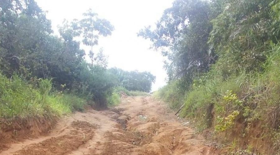 [Moradores do Quilombo Quingoma pedem reforma de estrada na Associação ]