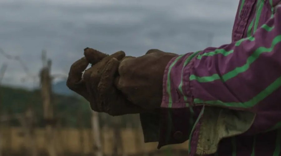 [Justiça condena família por submeter trabalhadora doméstica a 42 anos de trabalho análogo à escravidão]