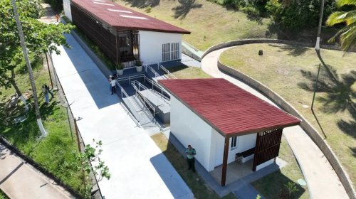 [Anvisa cria grupo técnico para acompanhar segurança da vacina contra dengue do Butantan]