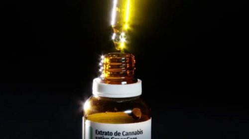 [Autorizações para importar produtos de cannabis medicinal crescem 29% em 2026]