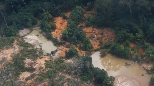 [MPF aciona quatro empresas por suposta colaboração com garimpo ilegal na Terra Yanomami]