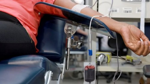 [Hemoba atualiza prazos para doação de sangue após tatuagens, procedimentos estéticos e cirurgias]
