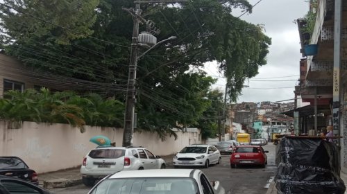 [Denúncia: Árvore de grande porte ameaça fios de alta tensão em Escola Municipal de Pernambués;...]