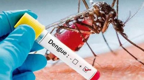 [Casos de dengue na BA crescem 685%; estado não está na lista de prioridade do governo]