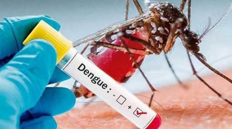 [Casos de dengue na BA crescem 685%; estado não está na lista de prioridade do governo]