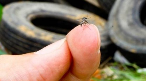 [Brasil registra em 2019 segundo maior número de mortes por dengue em 21 anos]