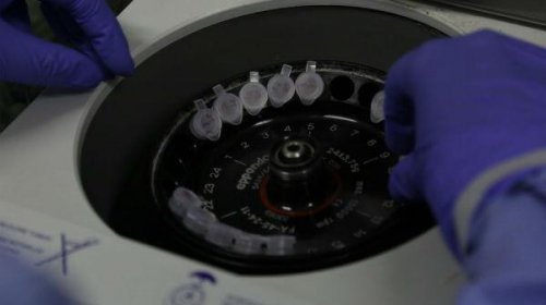 [Ministério da Saúde ampliará para 22,9 milhões total de testes para novo coronavírus]