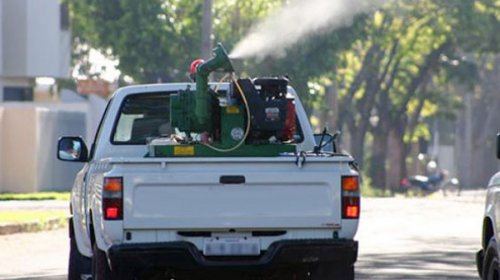 [Casos de chikungunya aumentam 700% em Salvador]