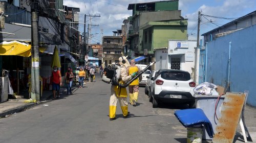 [Salvador reduz em mais de 90% casos de dengue, zika e chikungunya]