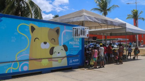 [Castramóvel em Piatã passa a oferecer vacina antirrábica]