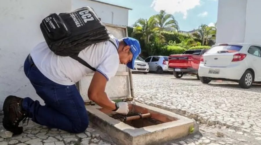 [Focos de combate ao mosquito da dengue, hotéis e pontos turísticos de Salvador são alvos de inspeções]