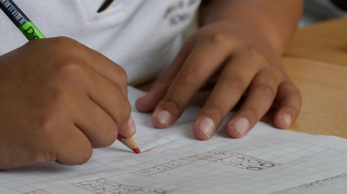 [Defensoria orienta escolas privadas da Bahia a fazer plano para educação antirracista]