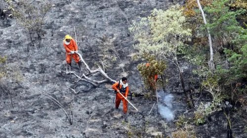 [População baiana pode auxiliar na elaboração do Plano de Prevenção aos Incêndios Florestais no...]