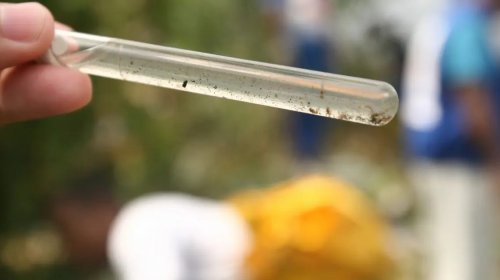 [Casos de dengue e Chikungunya despencam mais de 90% na Bahia em 2025]