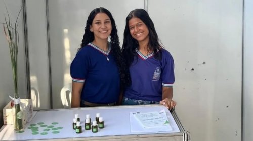 [Estudantes baianas criam óleo 100% natural à base de capim-santo para combater ansiedade]