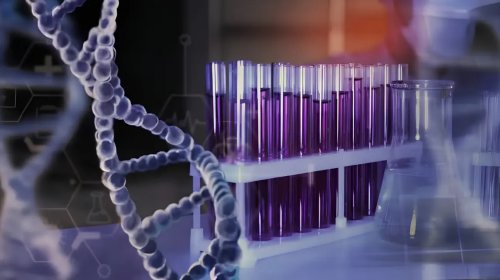[Avaliação genética antes da gravidez ajuda a identificar riscos de doenças hereditárias]